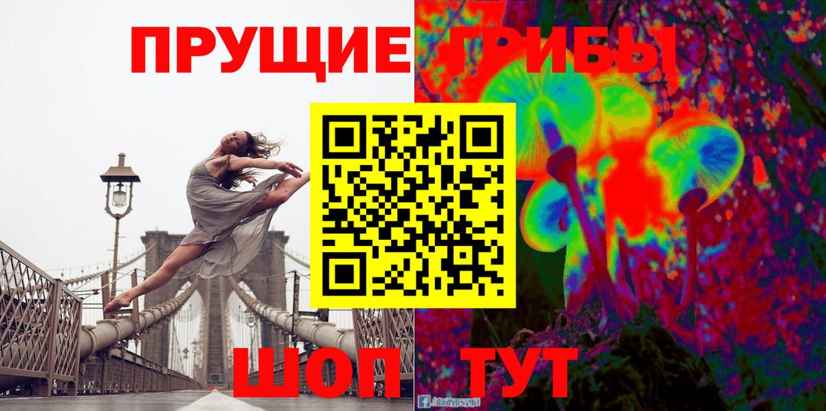 Прокопьевск  Галлюциногенные грибы Cubensis  Вход с VPN 