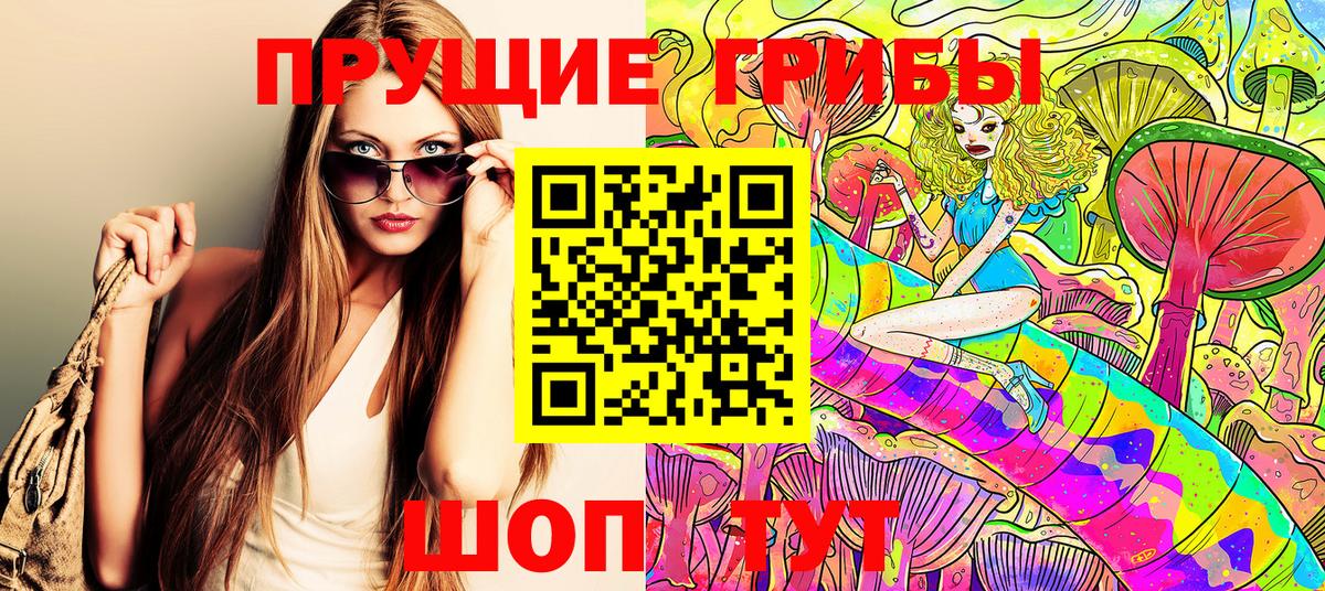 Псилоцибиновые грибы GOLDEN TEACHER Прокопьевск